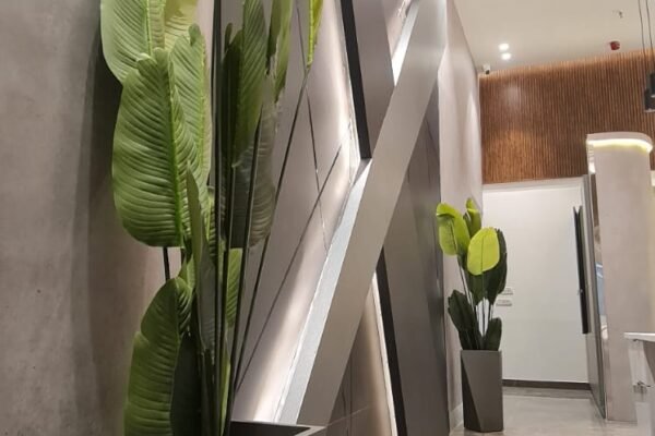 PHOTO-2026-01-23-17-25-37 3